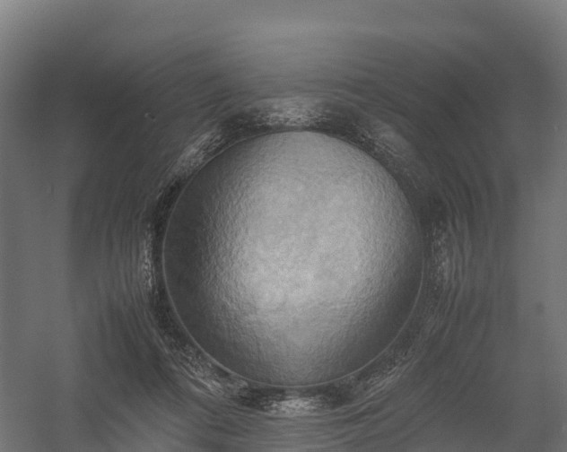 X0000057580312200509231258