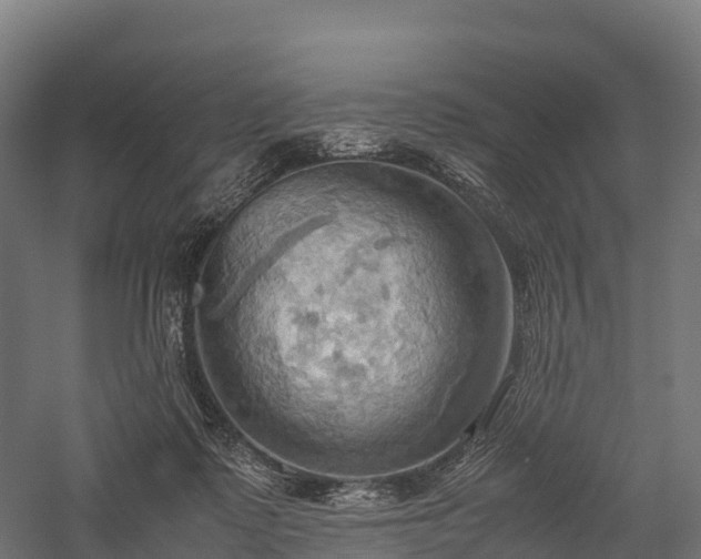 X0000057580315200509231258