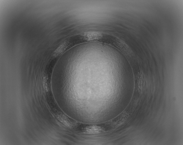 X0000057580316200509231258