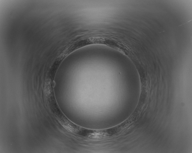 X0000057580323200509231258