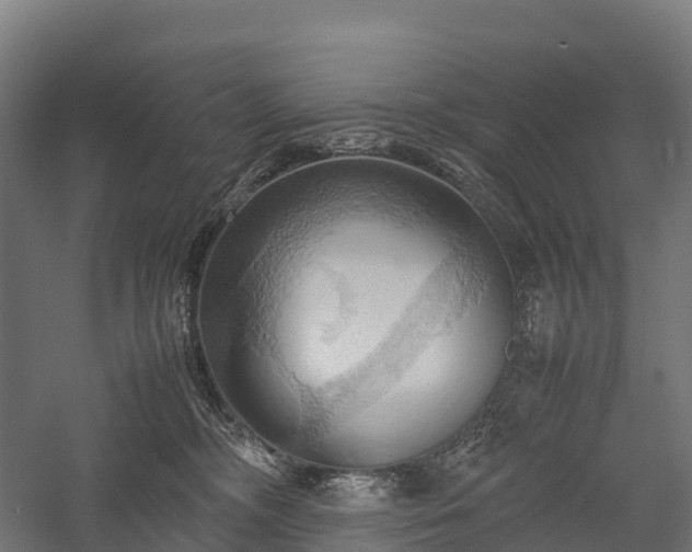 X0000057580326200509231258