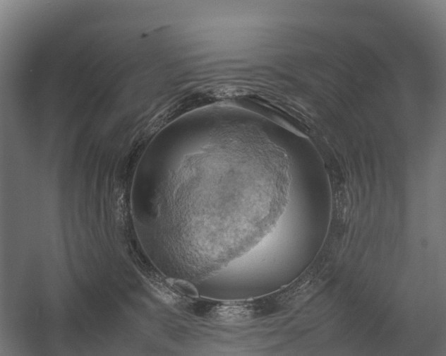 X0000057580327200509231258