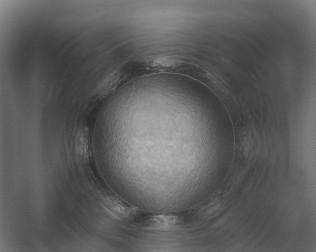 X0000057580328200509231258