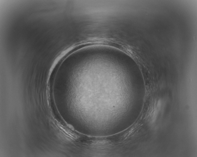 X0000057580342200509231257