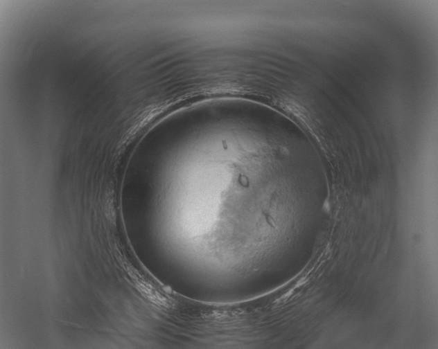 X0000057580345200509231257