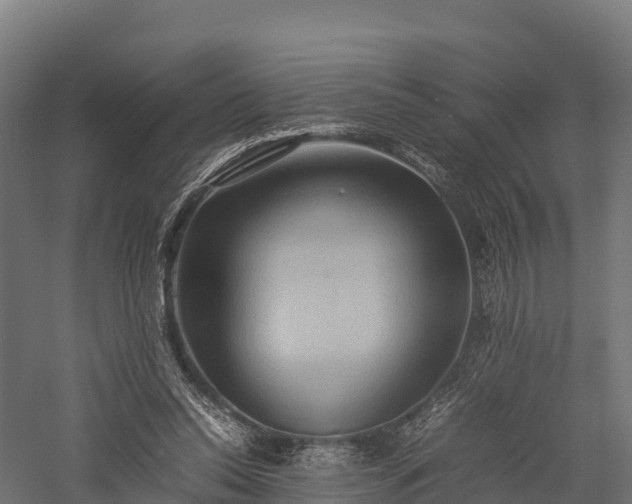 X0000057580350200509231257