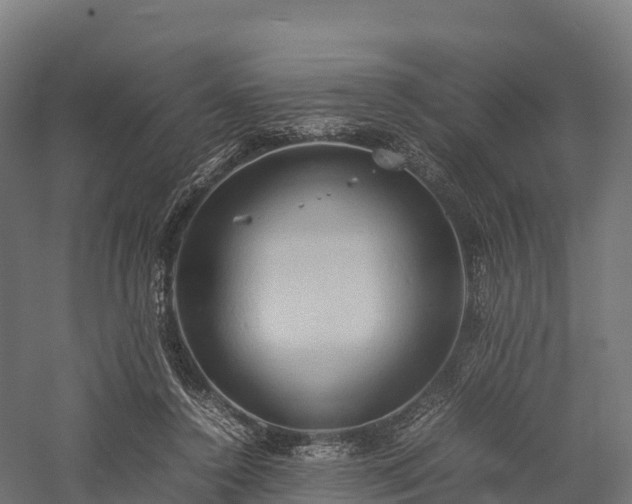 X0000057580356200509231257