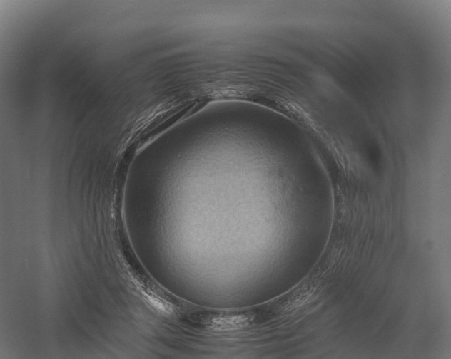 X0000057580357200509231258