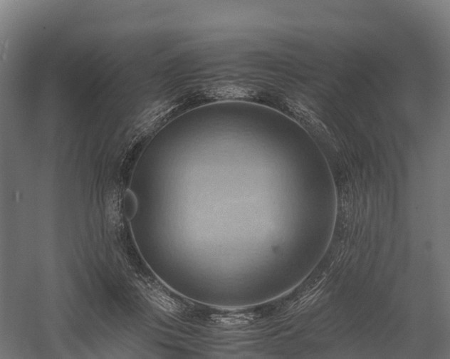 X0000057580359200509231258