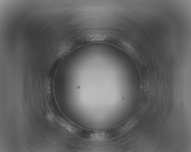 X0000057580362200509231258