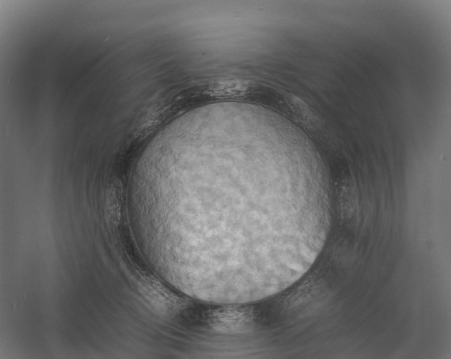 X0000057580370200509231258