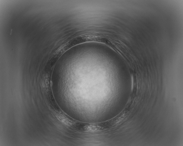 X0000057580372200509231258