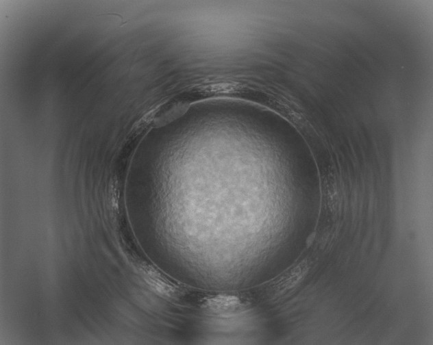 X0000057580374200509231258