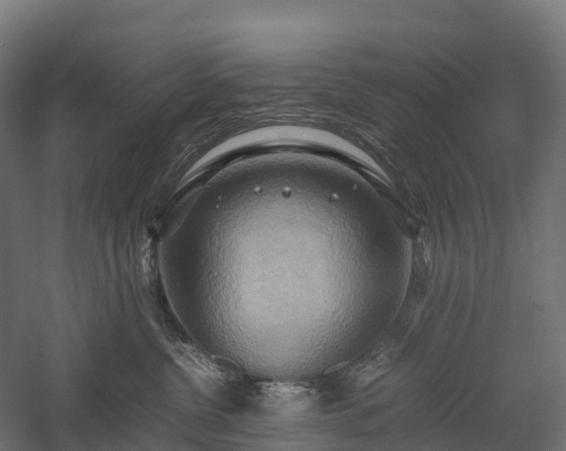 X0000057580380200509231258