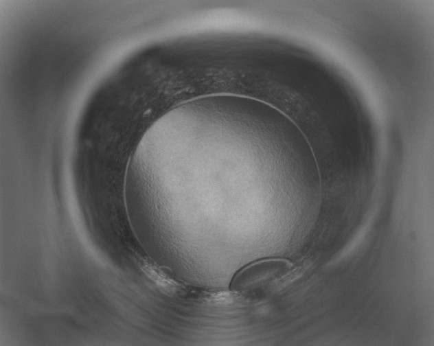 X0000057580382200509231258