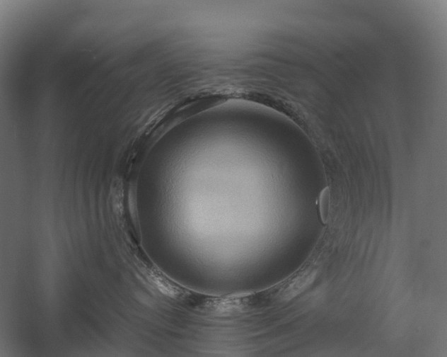 X0000057580384200509231258