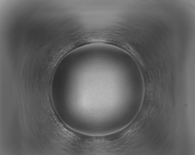 X0000057580385200509231257