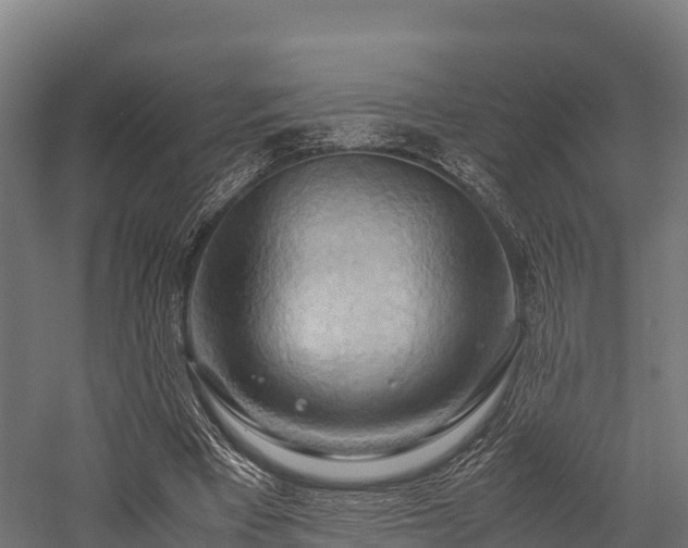 X0000057580393200509231257