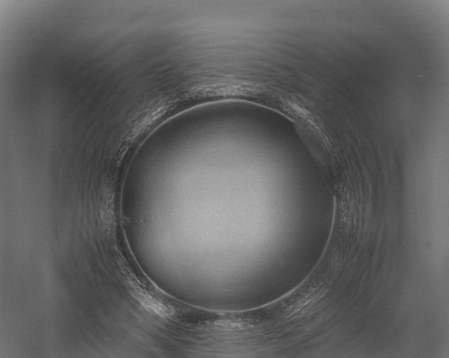 X0000057580394200509231257