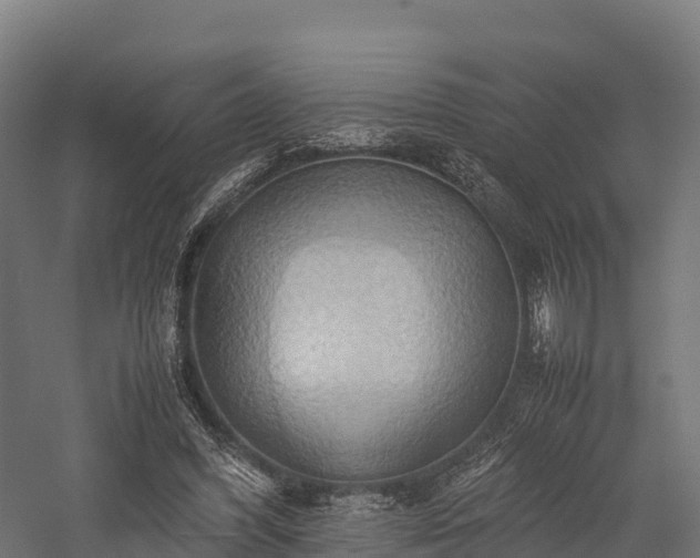 X0000057580396200509231257