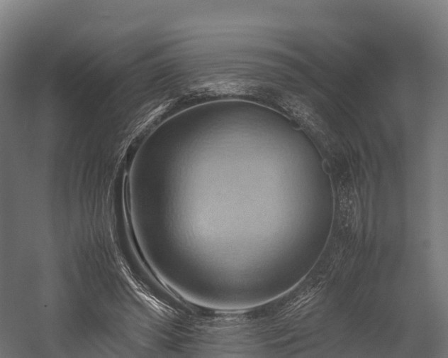 X0000057580398200509231257