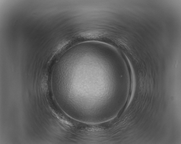 X0000057580400200509231257