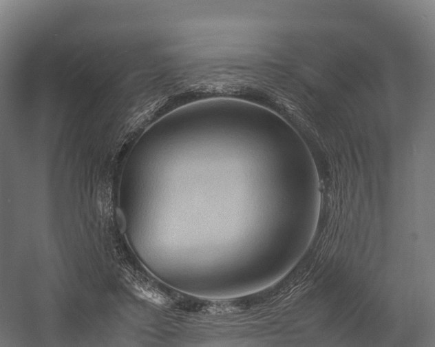 X0000057580403200509231257