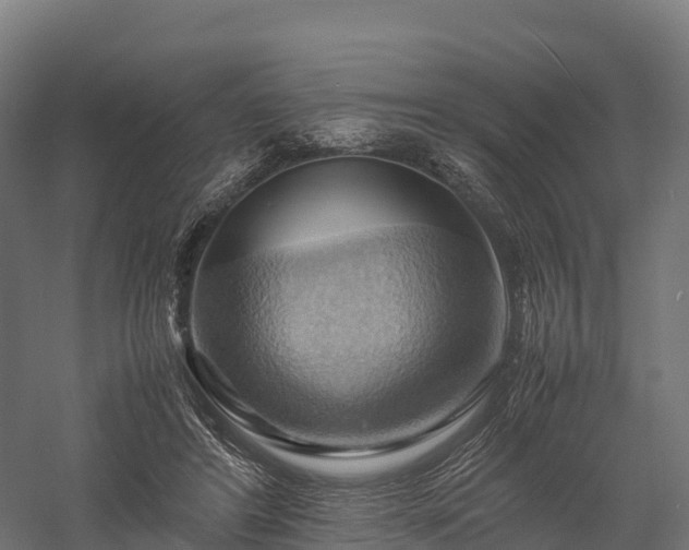 X0000057580404200509231257