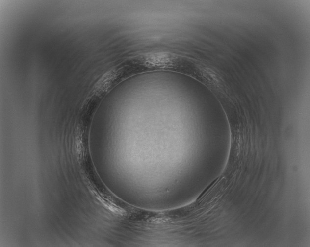 X0000057580408200509231257