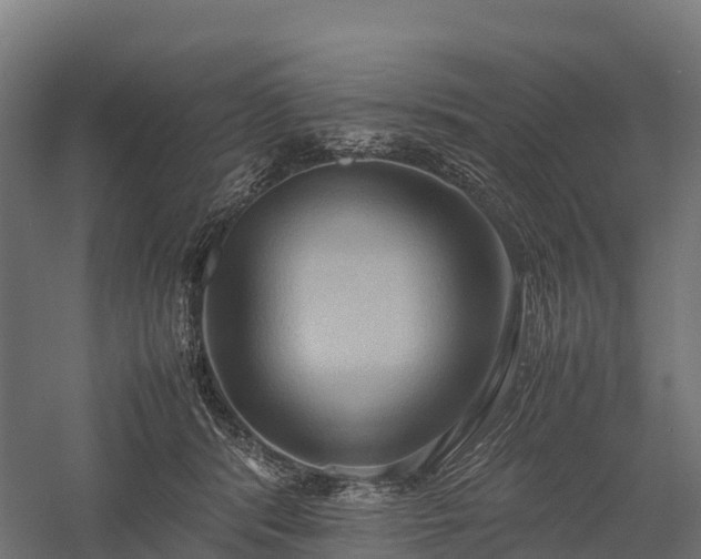 X0000057580416200509231257