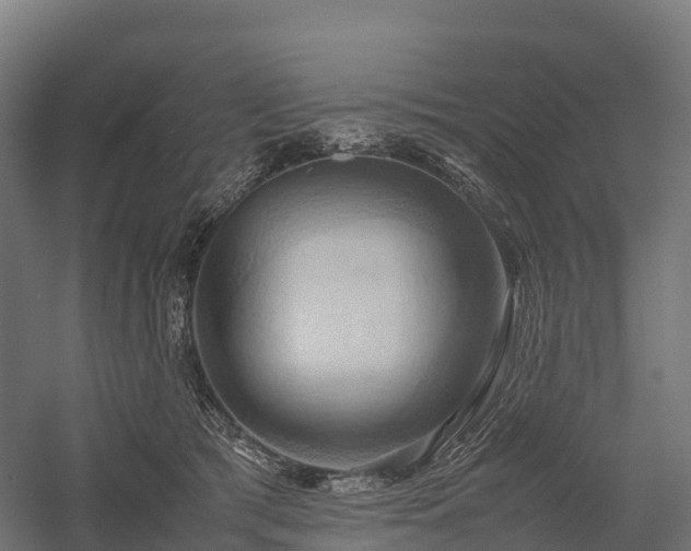 X0000057580417200509231257