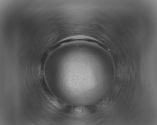 X0000057580420200509231257