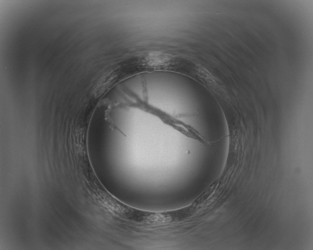 X0000057580421200509231257