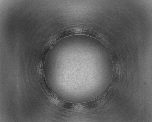 X0000057580423200509231257