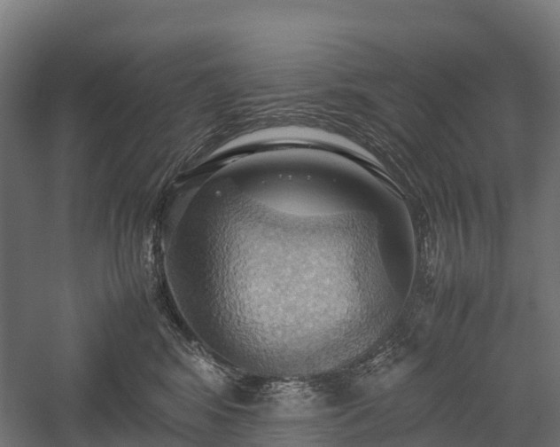 X0000057580424200509231256