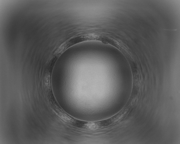 X0000057580425200509231256