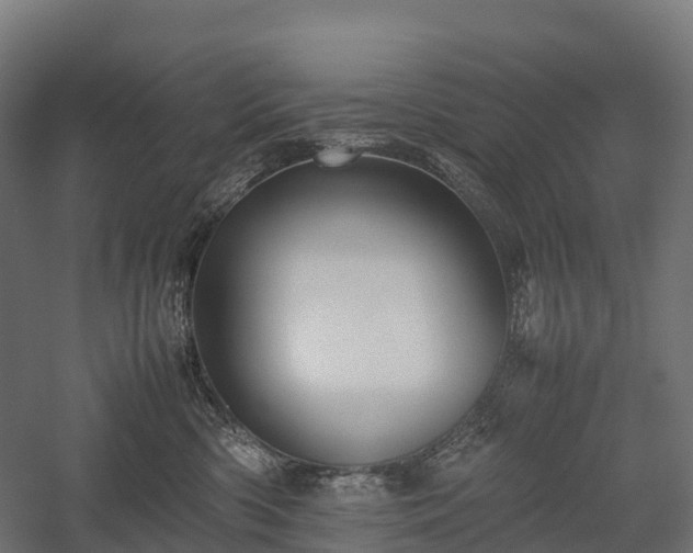 X0000057580426200509231256