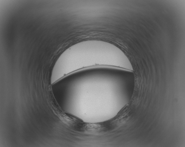 X0000057580429200509231256