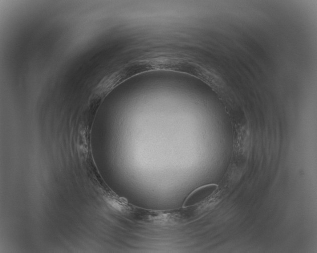 X0000057580430200509231256