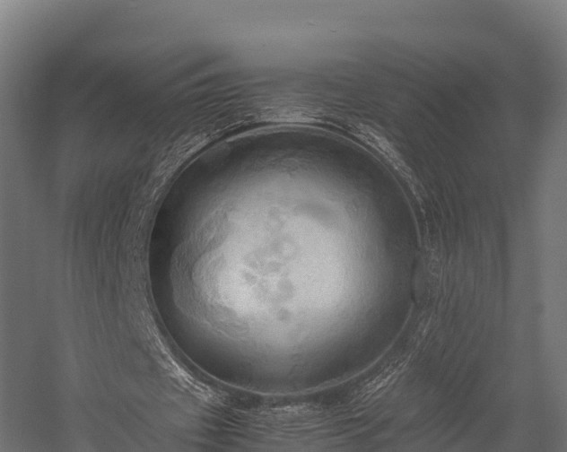 X0000057580433200509231256