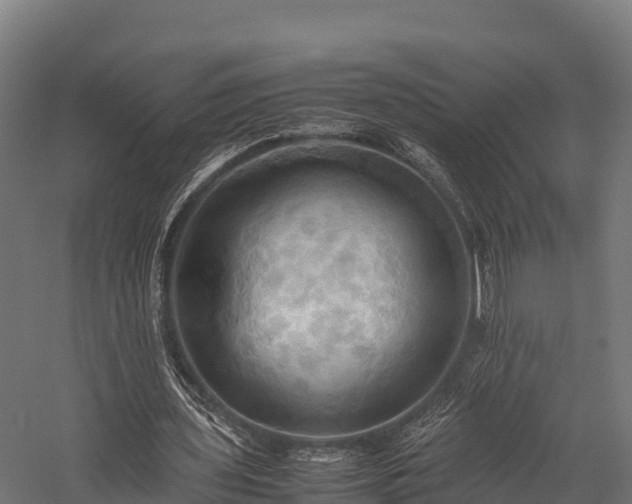 X0000057580435200509231256