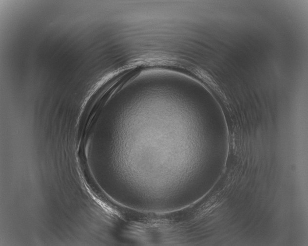 X0000057580438200509231256