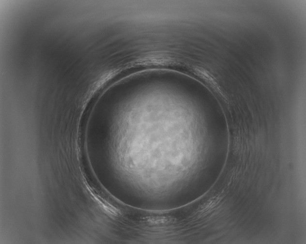 X0000057580439200509231256