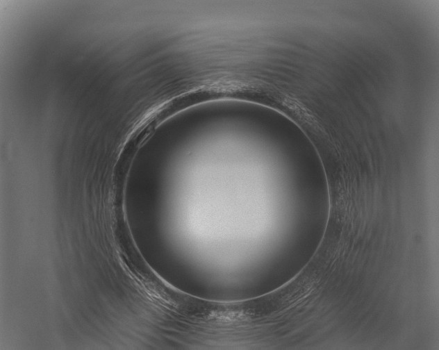 X0000057580440200509231256