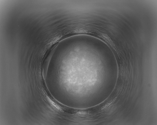 X0000057580441200509231256