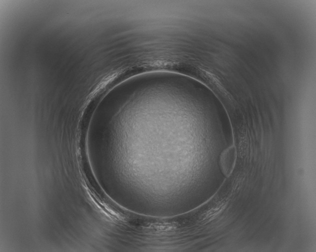 X0000057580443200509231256