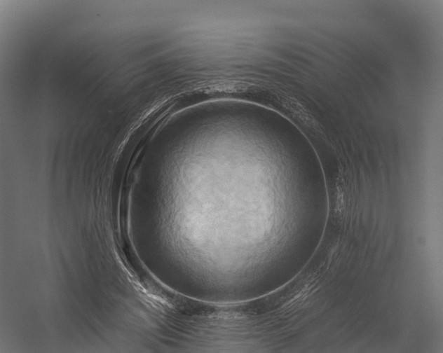 X0000057580444200509231256