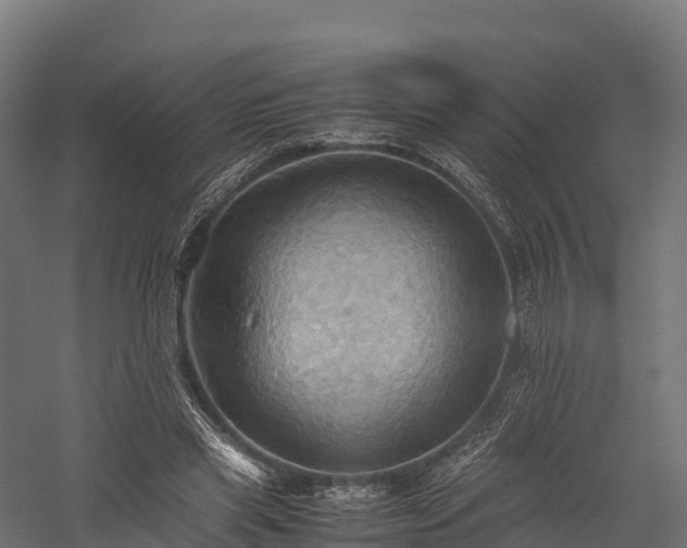 X0000057580445200509231256