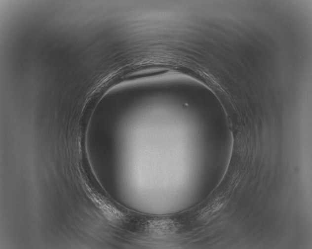 X0000057580446200509231256