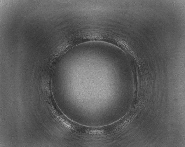 X0000057580449200509231256